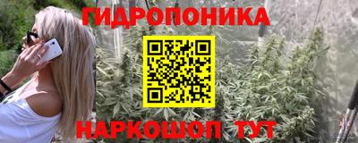 индика Лесосибирск