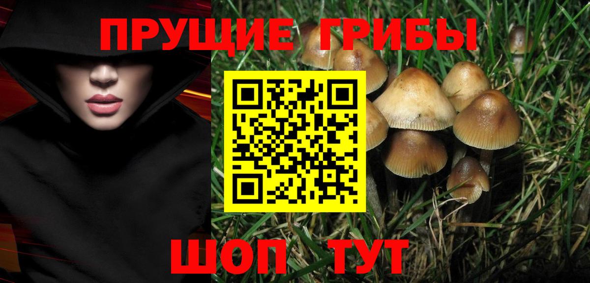 Галлюциногенные грибы GOLDEN TEACHER Энгельс